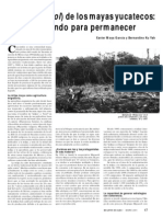 Article Milpa Chacsinkinpdf