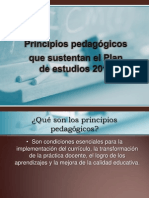 Principios Pedagogicos Que Sustentan El Plan de Estudios 2011