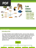 Download Los Cinco Reinos by Natasha Cox SN22416579 doc pdf