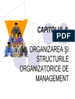 Structuri Organizatorice