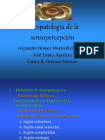 SENSOPERCEPCION (1).ppt