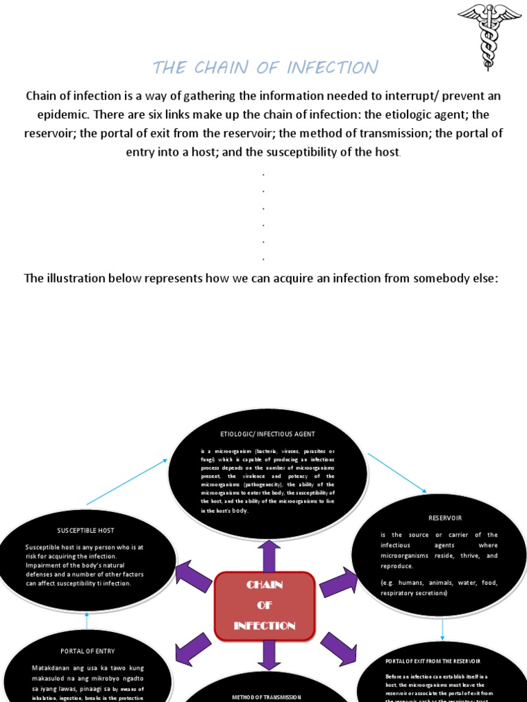 the chain of infection Transmission (Medicine) Infection