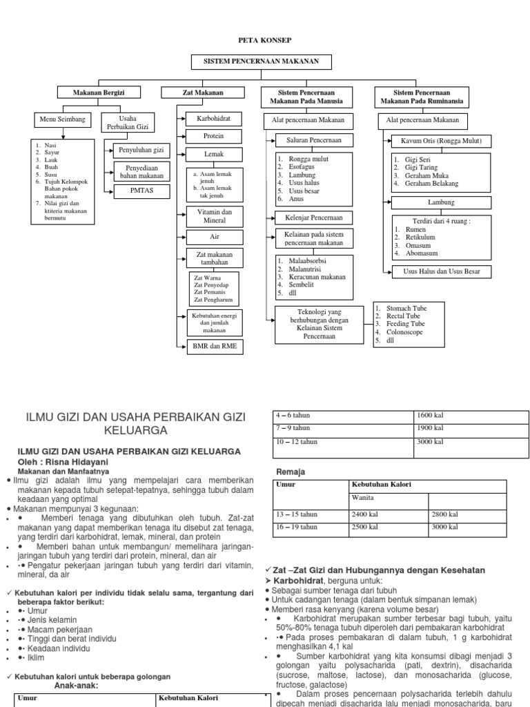 2 Peta Konsep Sistem Pencernaan Makanan