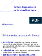 Hristea Borelioza Lyme