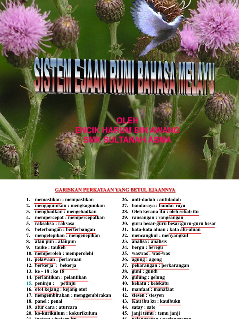 Sistem Ejaan Rumi Pdf