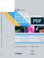 Atlas Malformaciones