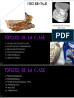 Clase Yesos Dentales PDF