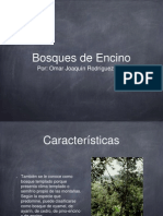 Bosque de Encinos