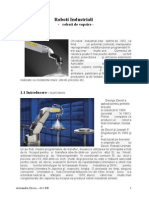 Roboti Industrial Pentru Aplicatia de Vopsire