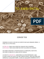 CONCEITOS DE DIREITO AMBIENTAL