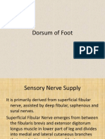 Presentation On Dorsum of Foot