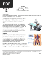 CECE Code of Ethics and Standards of Practice For RECEs in Ontario ...