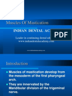 Muscles of Mastication 2 / Orthodontic Courses by Indian Dental Academy