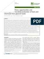 Almeida J - 2012 - Biodiesel Biorefinery- sdasdsdOpportunities Adn Challenges for Microbial Production of Fuels and Chemicals From Glycerol Waste