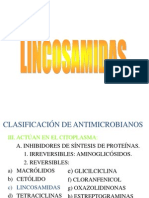9lincosamidas FB PDF