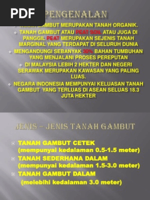 Tanah Gambut  PDF