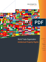 WOrld Trade Organisation & Intelllectual Property Rights