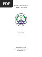 Download Lp Labiopalatoskisis by Ryanidol SN224349599 doc pdf