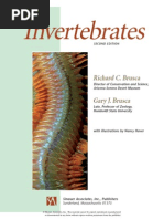 Download Invertebrates 2 by Ruan Victor SN224350320 doc pdf