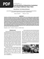 Download Biodisel by Nining Rahayu SN224355169 doc pdf