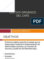 Cultivo Orgánico Del Café