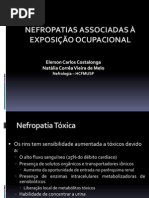 Nefropatias-costalonga Ocupacionais Nefropatias Ppt.