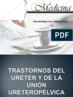 Patologia de Ureteros