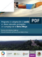 Re Selva Maya