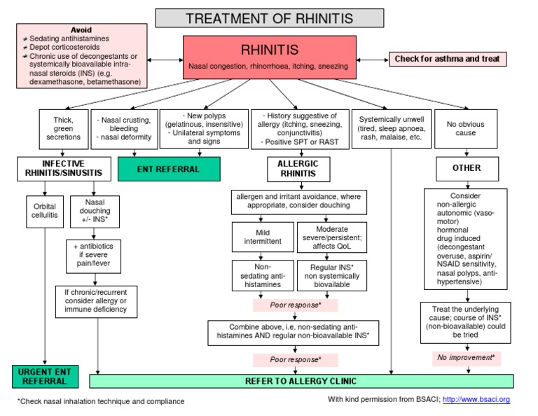Rhinitis Management Guide | PDF