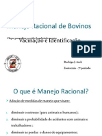 Palestra Manejo Racional de Bovinos