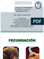 FECUNDACION