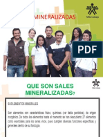 Diapostivas Sales Minralizadas y Ssp