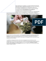 EEUU Aprueba Investigar El Uso de La Marihuana