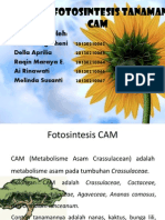 Laju Fotosintesis tanaman CAM.pptx