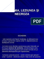 Ischemia, Leziunea I Necroza-2010