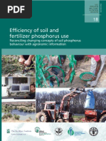 Download Efficiency of Soil p Use 1 by tikkytalo SN22450800 doc pdf