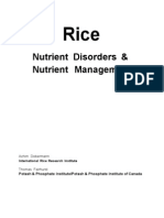 Download Rice Nutrient 2000 by tikkytalo SN22453604 doc pdf