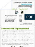 Habilidades Organizacionales - Comunicación Organizacional