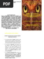 livroprimeiroanodefilosofia-100506072320-phpapp01