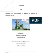 BioRefinery Report