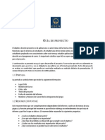 Guia_Proyectos (1).docx