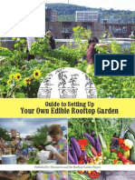 Guide to Setting Up Your Own Edible Rooftop Garden