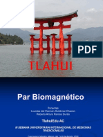 Par Biomagnetico Tlahui (2)