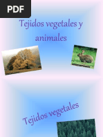 tejidosvegetalesyanimaleskellyrickyliseth-091202100947-phpapp01