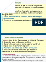 Pgtas de Histología