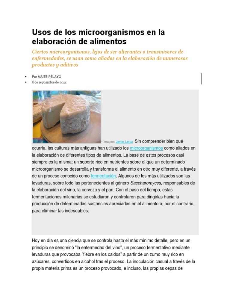 Microorganismos en la elaboración de alimentos | PDF | Leche | Queso