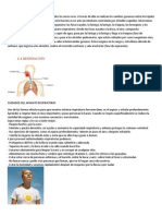 COMO SE REALIZA LA RESPIRACION.docx