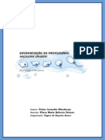 Diferenciacao Protozoario Naegleria Manual