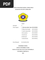 Download Laporan Praktikum Kimia Anorganik II by Oktaviana IC SN224650786 doc pdf