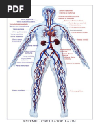 WWW - Referat.ro-Referat La Biologie - Sistemul Circulator La 78